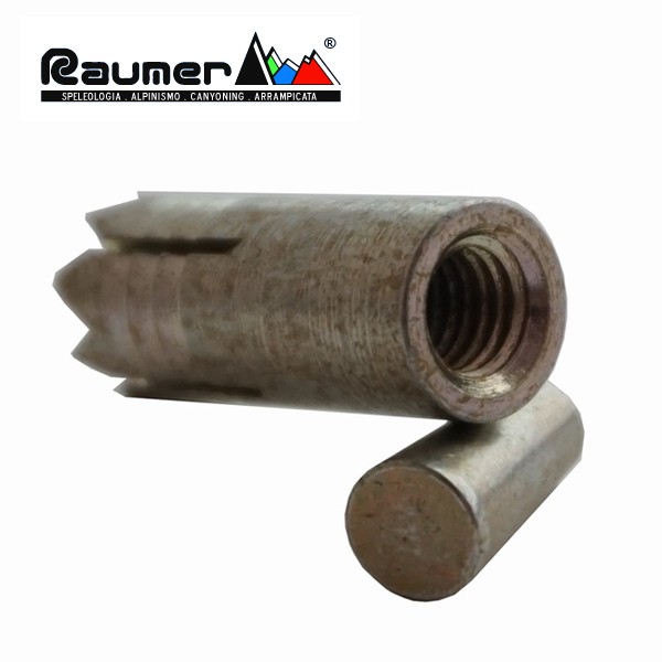 TAP RAUMER - Image 3