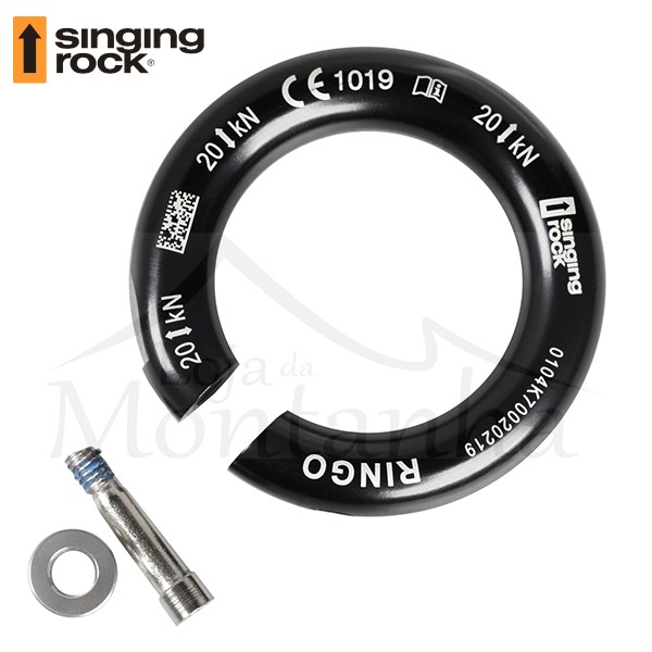 RINGO - Image 4