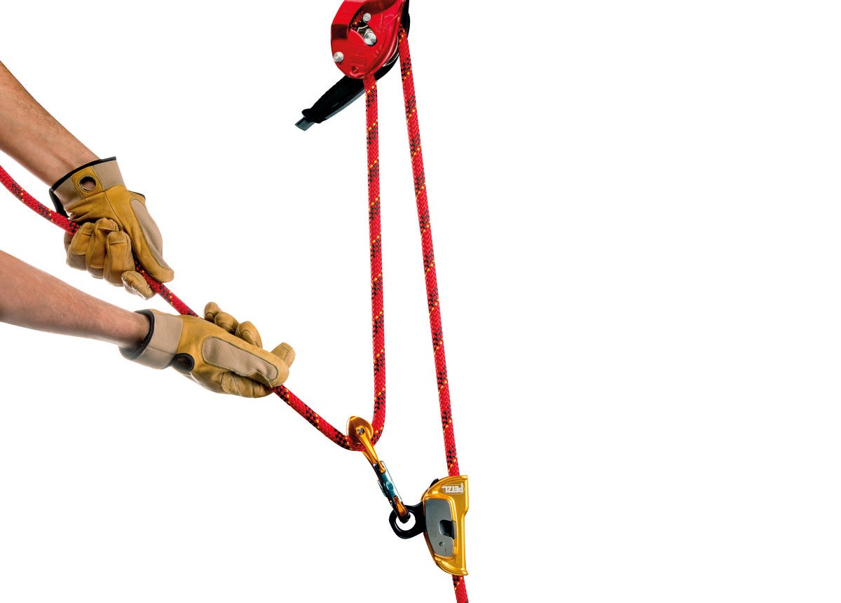 VECTOR 12.5 - Image 4