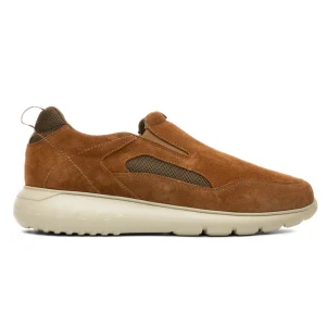 Sapatilhas Camport Sport-Pro Castanho